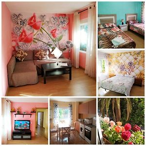 Appartement met Twee Slaapkamers